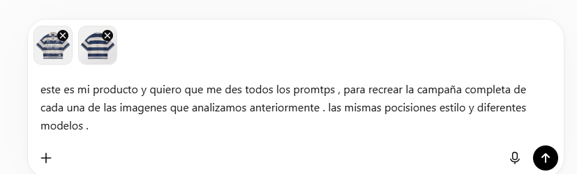 Obteniendo los prompts optimizados