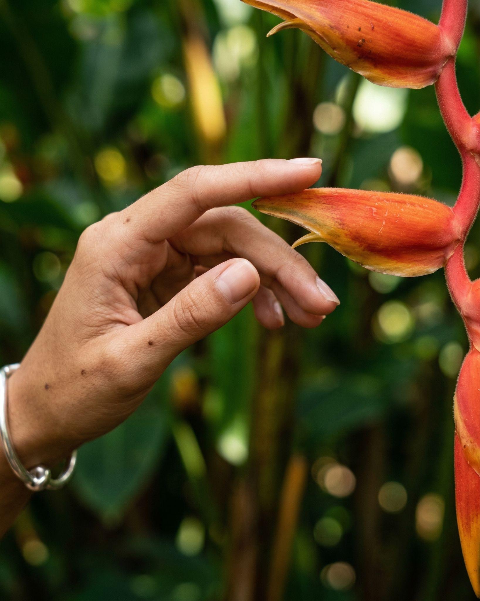 LA MANO Y LA FLOR TROPICAL